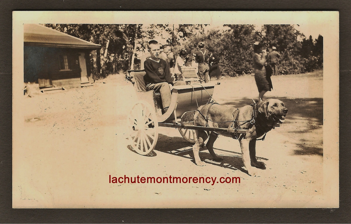 Garçon à bord d'une voiturette tirée par un chien, sur le site de la chute Montmorency, en 1946. La photo a probablement été prise à proximité du pont menant à Boischatel.