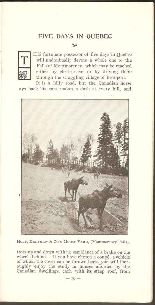 Chute Montmorency : enclos des orignaux au zoo Holt Renfrew dans une brochure de la compagnie vers 1900.